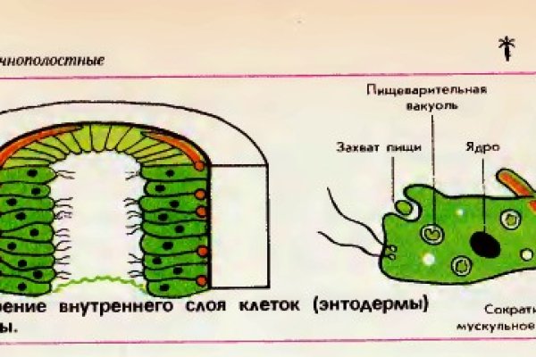 Что такое кракен наркотик