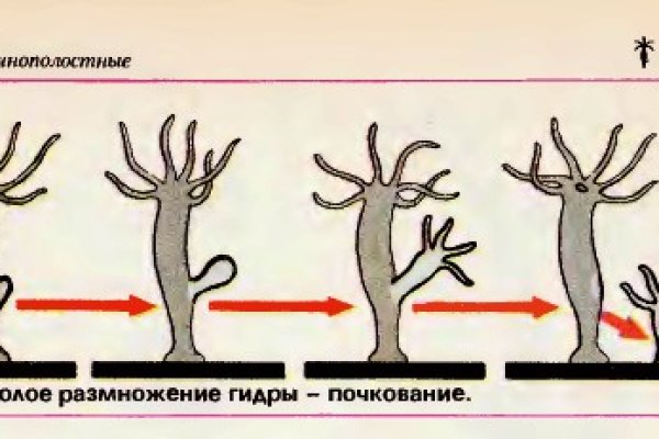 Кракен наркошоп сайт