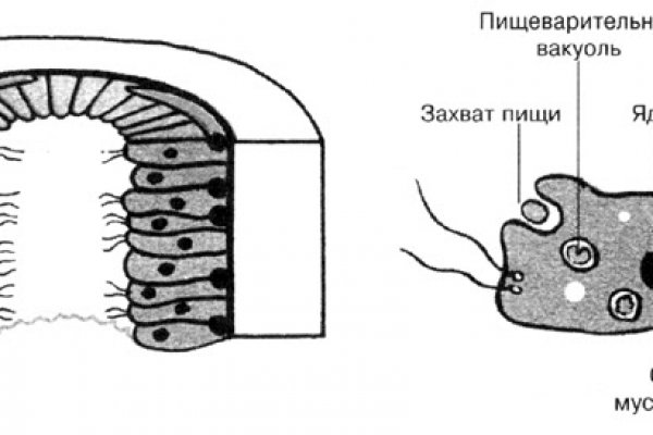 Магазин веществ кракен