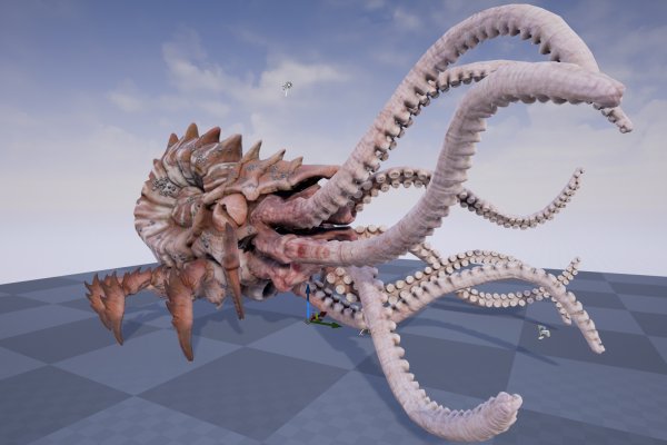 Kraken 7 org